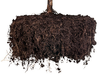 Similar image 7452635