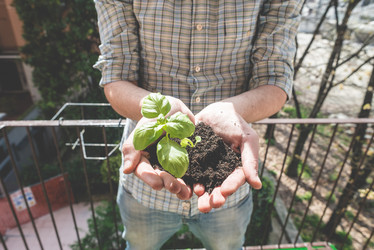 Similar image 7454024