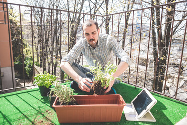 Similar image 7454038