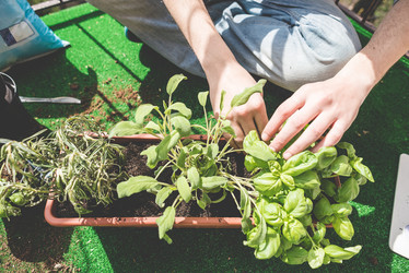 Similar image 7454039