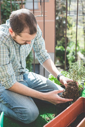 Similar image 7454042