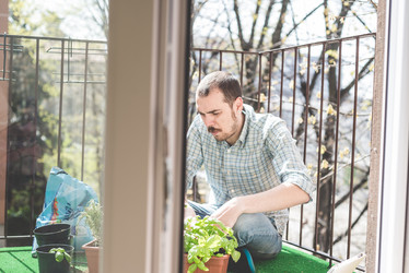 Similar image 7454085