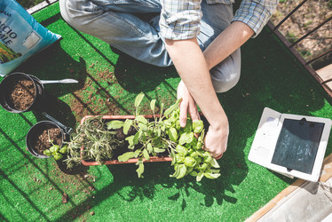 Similar image 7454086