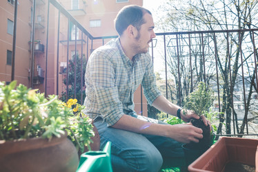 Similar image 7454093