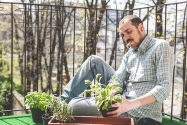 Similar image 7454094