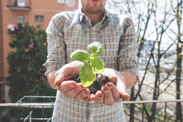 Similar image 7454098