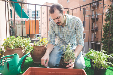 Similar image 7454100