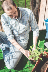 Similar image 7454102