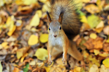 Similar image 7454121