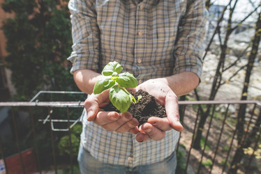 Similar image 7454295