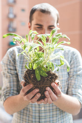 Similar image 7454375