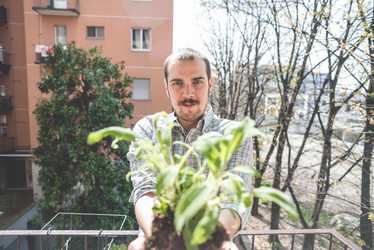 Similar image 7454376