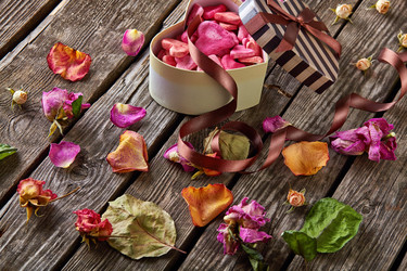 Similar image 7454730