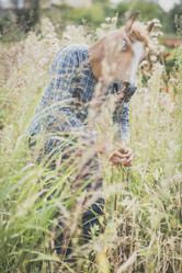 Similar image 7455254