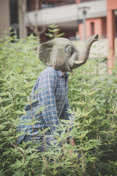 Similar image 7455257