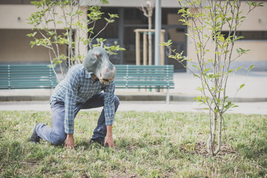 Similar image 7455258