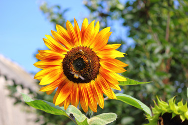 Similar image 7455893