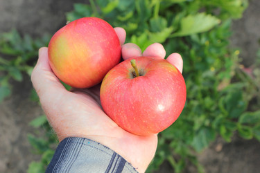 Similar image 7455898