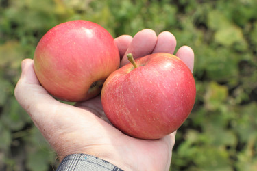 Similar image 7455899