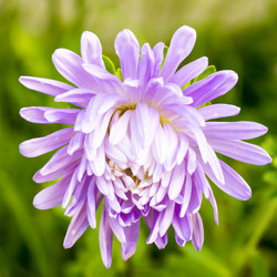 Similar image 7455952