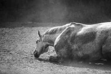 Similar image 7455973