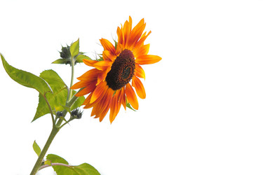 Similar image 7455980