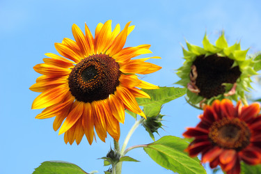 Similar image 7455981