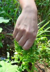 Similar image 7456102