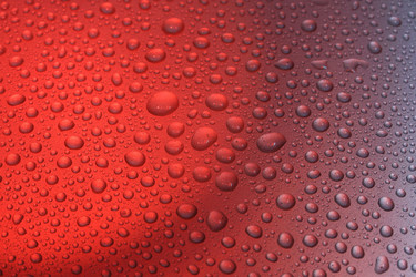 Similar image 7456381