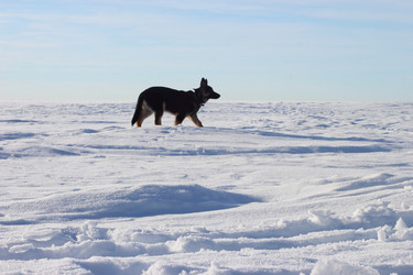 Similar image 7456567