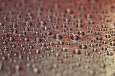 Similar image 7456570