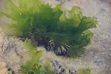 Similar image 7456574