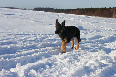 Similar image 7466431