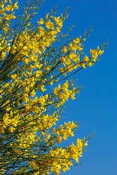 Similar image 7466456