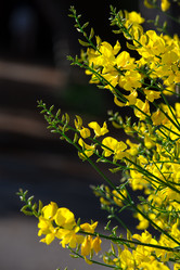 Similar image 7466457