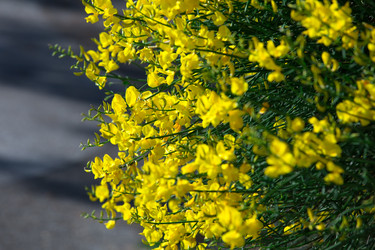 Similar image 7466458