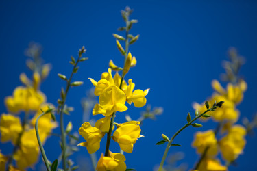 Similar image 7466461