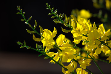 Similar image 7466474