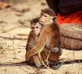 Similar image 7466477