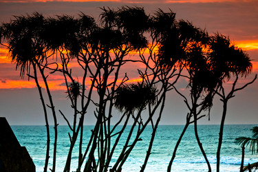 Similar image 7466478