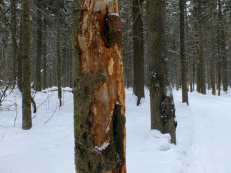 Similar image 7466484