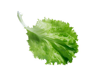 Similar image 7466516