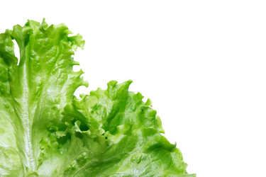 Similar image 7466519