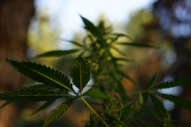 Similar image 7466546