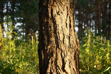 Similar image 7466547