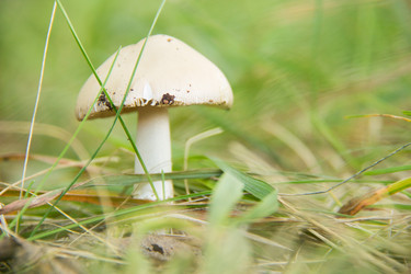 Similar image 7466548