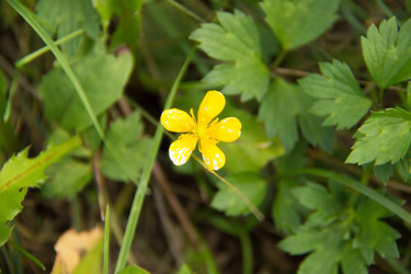 Similar image 7466549