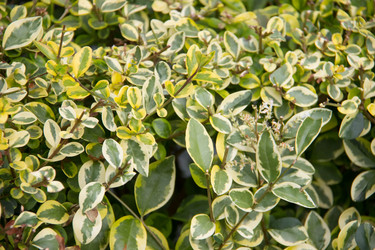 Similar image 7466557