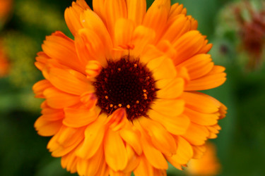 Similar image 7466561