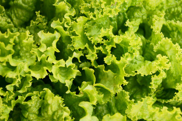 Similar image 7466562